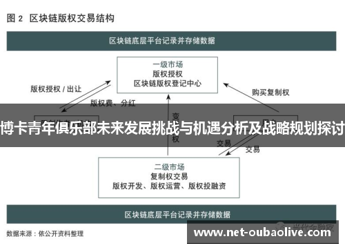 博卡青年俱乐部未来发展挑战与机遇分析及战略规划探讨