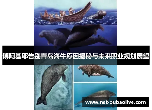 博阿基耶告别青岛海牛原因揭秘与未来职业规划展望