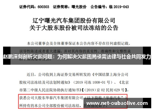 赵鹏深刻剖析欠薪问题：为何解决欠薪困局亟需法律与社会共同发力