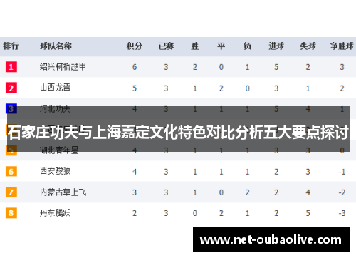 石家庄功夫与上海嘉定文化特色对比分析五大要点探讨